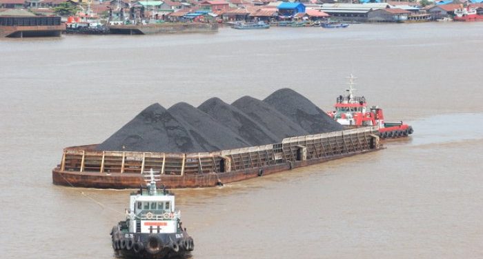 Wacana Pencabutan Kebijakan DMO, Kapal Disuruh Menunggu