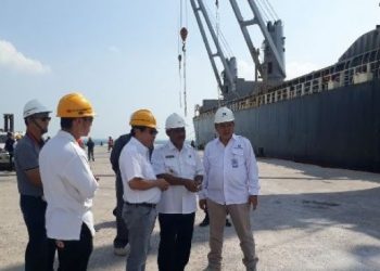 Investor Singapura Tertarik Garap Tanjung Batu
