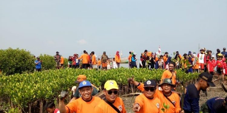 INSA Semarang Tanam 1.000 Mangrove