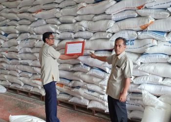 Bulog akan Kerjasama dengan Pelindo Sibolga, Tangani Bongkar Muat Beras