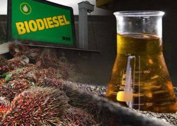 INSA Minta B20 Ditunda, Pemerintah Tetap Jalankan