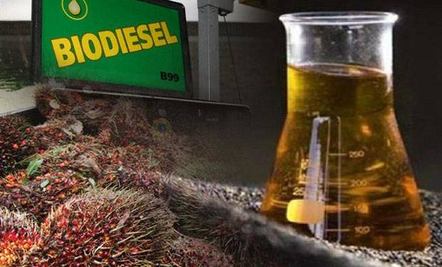 INSA Minta B20 Ditunda, Pemerintah Tetap Jalankan