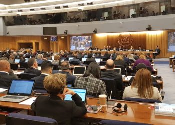 Indonesia Mendukung Pembentukan OEWG di Sidang IMO