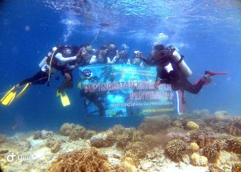 Hubla Selenggarakan Diklat Penyelam bidang Salvage