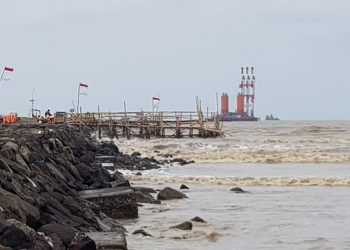 Menunggu Patimban Selesai Akhir 2019
