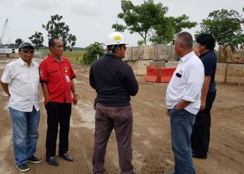 Menunggu Patimban Selesai Akhir 2019