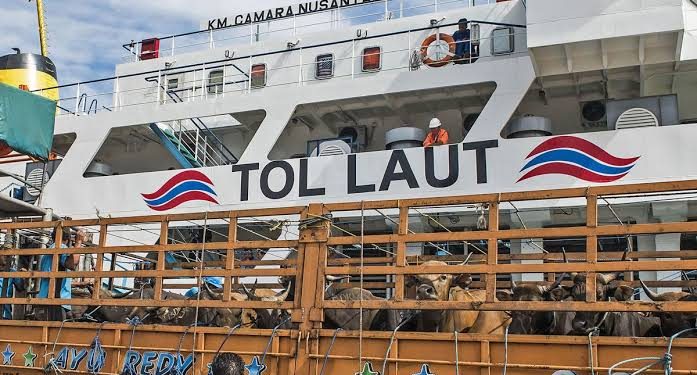 Enam Kapal Dikerahkan untuk Angkut Sapi Kebutuhan Nasional