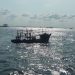 Kemenhub Terbitkan Notice to Mariner Pasca Musibah Kebakaran Kapal Muara Baru