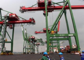 Teluk Lamong Jadi Preference Kapal Panamax