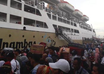 Ayo Balik Jakarta Gratis Pakai Kapal Laut dari Tanjung Emas