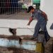 Pasca Gempa, Pengelola Pelabuhan Babang Agar Waspada