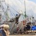 Wajib AIS, Bagaimana Pelra & Kapal Nelayan