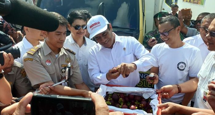 Ekspor dari Priok, Buah Manggis Tembus ke Pasar China & Eropa