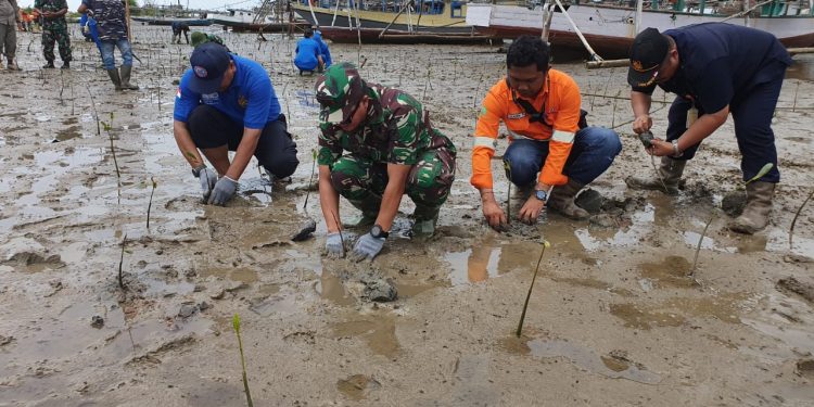 Batulicin Gerakkan Tanam Mangrove