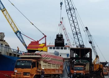 Smart Ekspor Inti Sawit ke Eropa & Asia