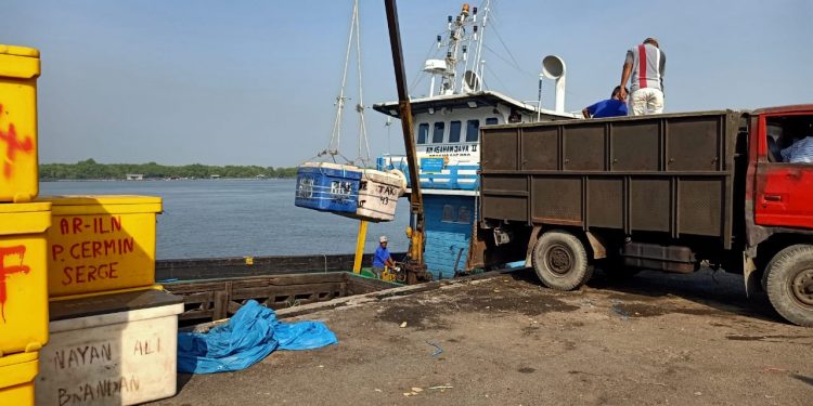 Dari Belawan, Banyak Ikan Diekspor ke Malaysia