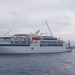 Pemkab Alor Larang Kapal MV Coral Berlabuh