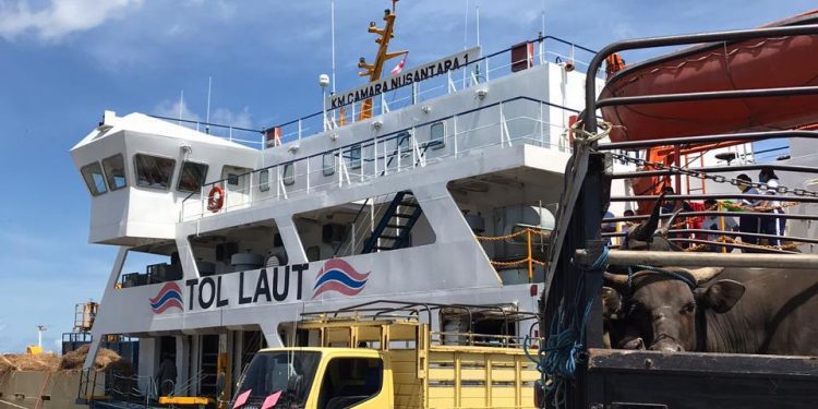 Gunakan Kapal Tol Laut, 13.164 Sapi Dikirim Untuk Kebutuhan Nasional