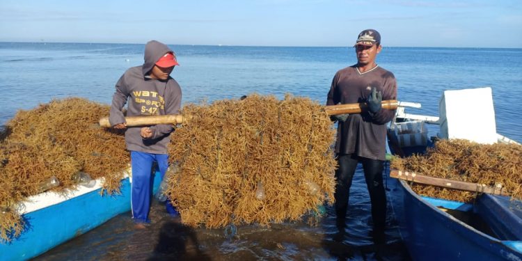 Pelindo IV Salurkan Rp5,710 M untuk UMKM