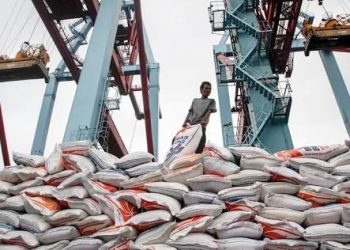 PTP, Anak ‘Manja’ Pelindo II Benarkah?