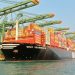 MSC Perkenalkan Sistem Pemesanan Kargo Secara Online
