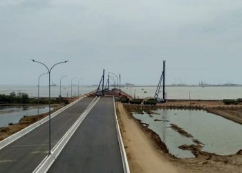 Patimban, Bisakah Beroperasi di 2020