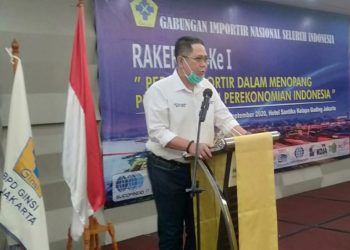 Rekomendasi GINSI ke Pemerintah, Apa Saja..