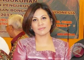 INSA, Kalau Semua Barang Bisa Diangkut Tol Laut, Bagaimana Kapal Swasta