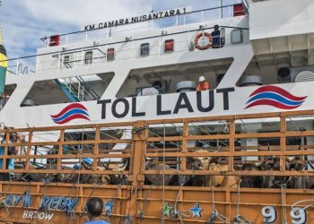 Sebanyak 25 Kapal Pelni Beroperasi