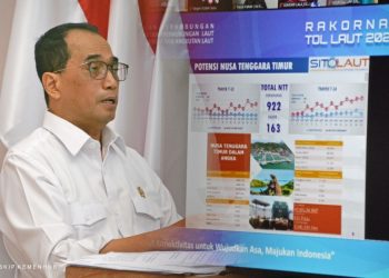 Desember, Soft Launching Patimban