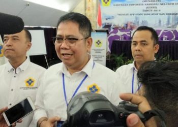 Ginsi, Importasi Masih Suram?