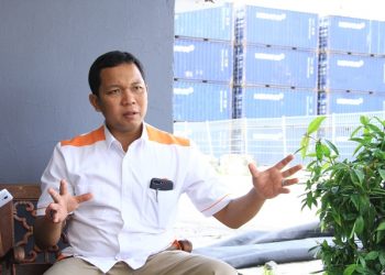 PTP Multipurpose, Tantangan dan Peluangnya