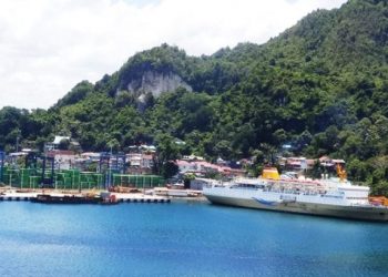 Numpuk 5 Hari Gratis, Bongkar Muat Petikemas di Jayapura 2 Hari