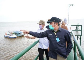 Tanjung Carat Dibangun, Jokowi Targetkan 2021 Ground Breaking