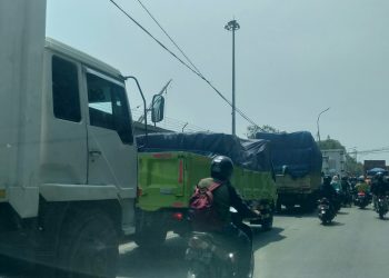 ALFI Minta OP Tegas Atasi Macet di Pelabuhan Priok