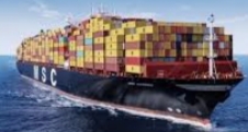 MSC Sedang Fokus Perluasan Layanan Mandiri