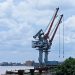 Kasihan, Dua Crane di Talang Duku Banyak Nganggurnya