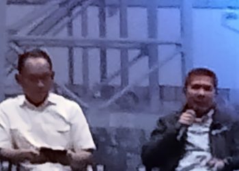 2022, Pelindo Tangani 17,2 Juta TEUs