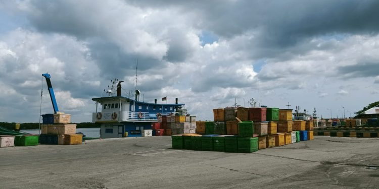 300 Box Ikan Diekspor ke Malaysia dari Belawan