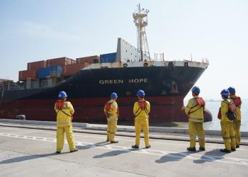 Service Baru TCS, Direct Teluk Lamong – India