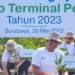 Pelindo Terminal Petikemas Tanam 55 Ribu Mangrove Tak Jauh Dari Teluk Lamong