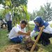 Tanam Ratusan Pohon, TTL Selamatkan Lingkungan
