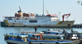 Kapal Ternak Tol Laut Kirim 550 Sapi ke Jakarta, Antisipasi Kebutuhan Idul Adha