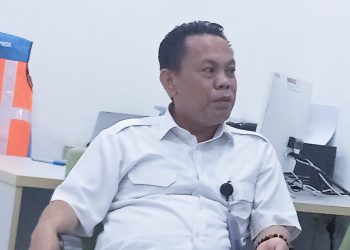STS, Potensi Bisnis Yang Sedang Dibidik PTP