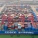 Semester 1, Pendapatan Cosco Shipping Turun 15,4%