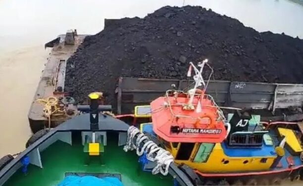 Tongkang Batubara Nabrak Pelabuhan Pelindo di Jambi, Kok Berulang Lagi..