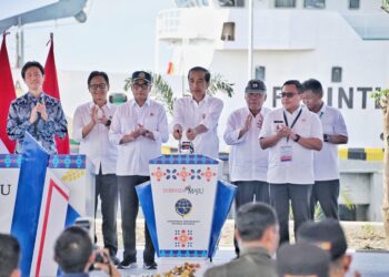 Jokowi Resmikan 2 Pelabuhan di Kawasan Teluk Palu