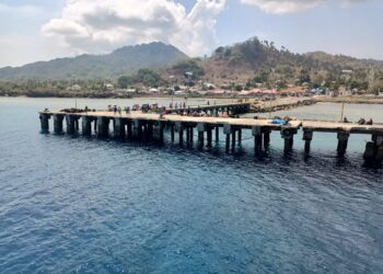 Konektivitas Wilayah Indonesia Timur Lewat Transportasi Laut Jadi Prioritas