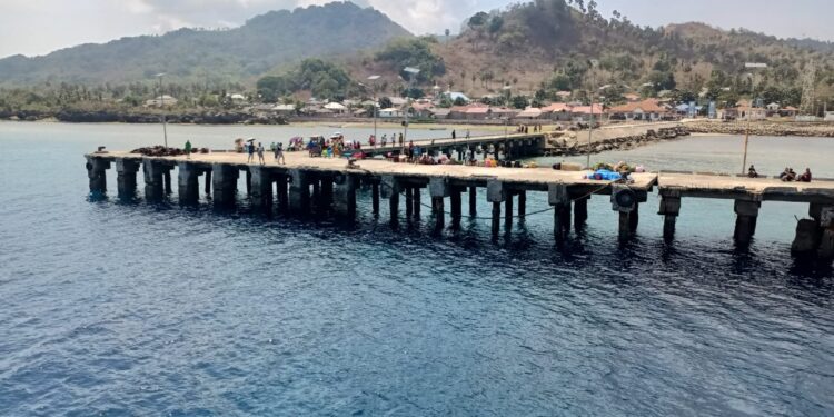 Konektivitas Wilayah Indonesia Timur Lewat Transportasi Laut Jadi Prioritas