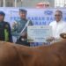 Idul Adha, JICT Bagikan 40 Sapi ke Masyarakat Sekitar